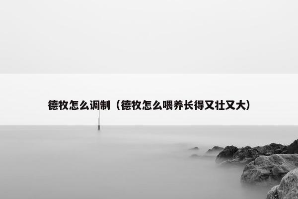 德牧怎么调制（德牧怎么喂养长得又壮又大）