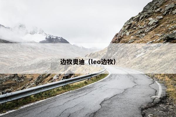 边牧奥迪（leo边牧）