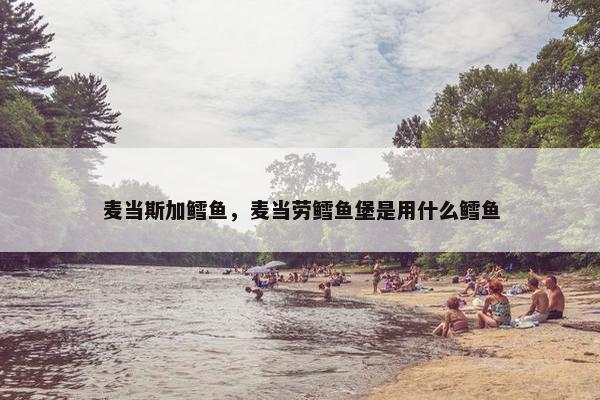 麦当斯加鳕鱼，麦当劳鳕鱼堡是用什么鳕鱼