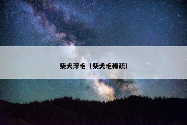柴犬浮毛（柴犬毛稀疏）