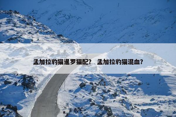 孟加拉豹猫暹罗猫配？ 孟加拉豹猫混血？