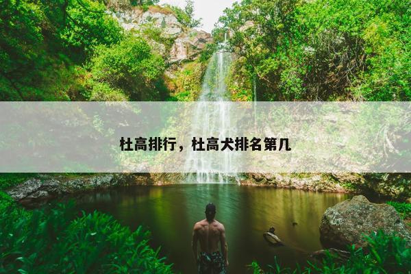 杜高排行，杜高犬排名第几