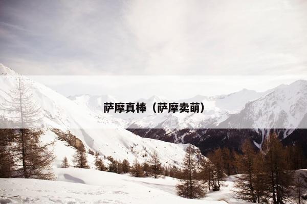 萨摩真棒（萨摩卖萌）