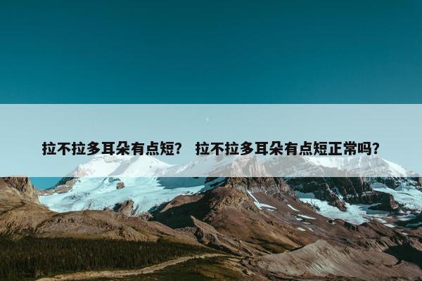 拉不拉多耳朵有点短？ 拉不拉多耳朵有点短正常吗？