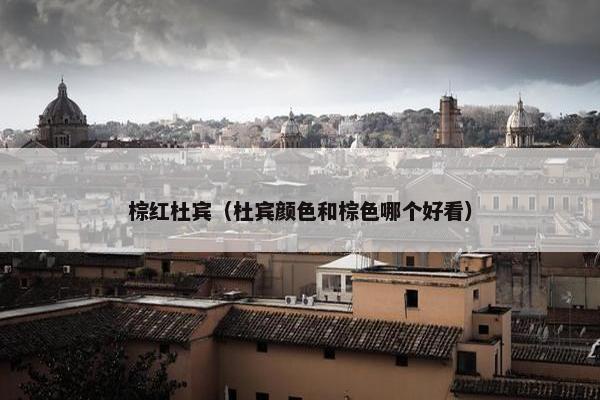 棕红杜宾（杜宾颜色和棕色哪个好看）