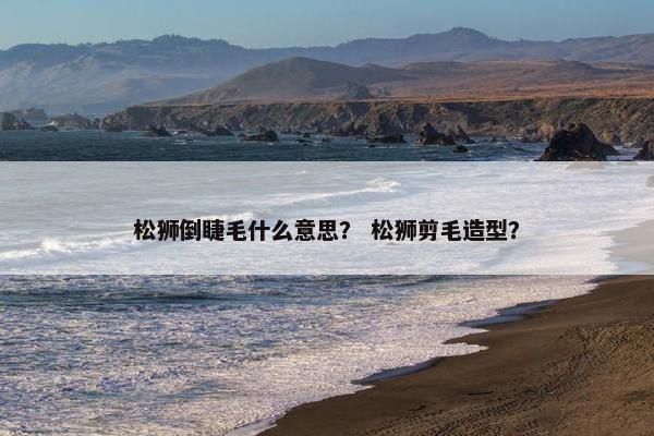 松狮倒睫毛什么意思？ 松狮剪毛造型？