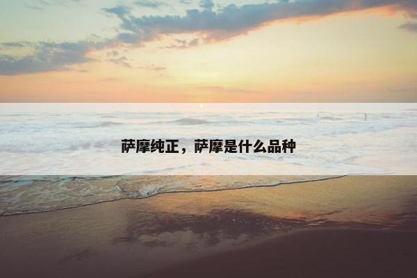 萨摩纯正，萨摩是什么品种