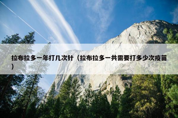 拉布拉多一年打几次针（拉布拉多一共需要打多少次疫苗）