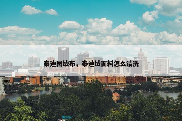 泰迪圈绒布，泰迪绒面料怎么清洗