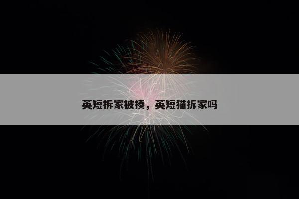 英短拆家被揍，英短猫拆家吗