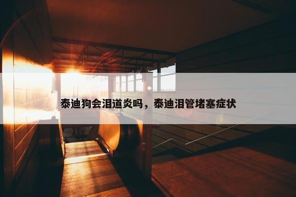 泰迪狗会泪道炎吗，泰迪泪管堵塞症状