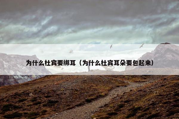 为什么杜宾要绑耳（为什么杜宾耳朵要包起来）