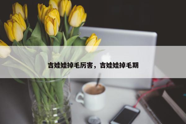吉娃娃掉毛厉害，吉娃娃掉毛期