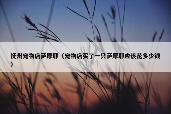 抚州宠物店萨摩耶（宠物店买了一只萨摩耶应该花多少钱）