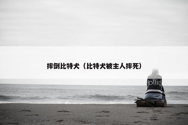 摔倒比特犬（比特犬被主人摔死）