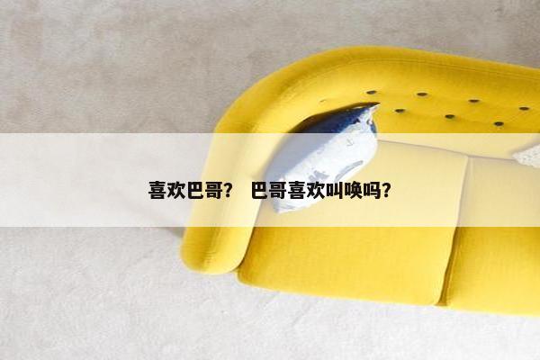 喜欢巴哥？ 巴哥喜欢叫唤吗？