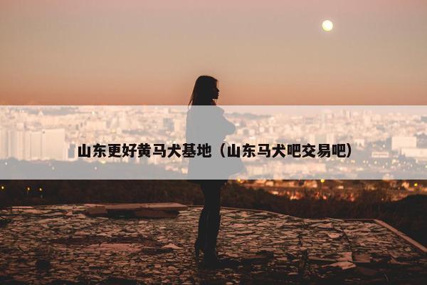 山东更好黄马犬基地（山东马犬吧交易吧）
