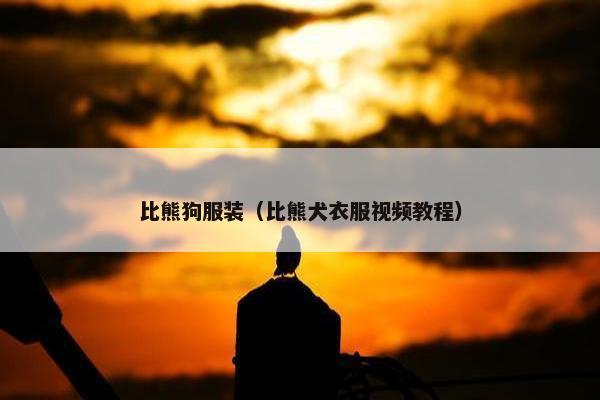比熊狗服装（比熊犬衣服视频教程）