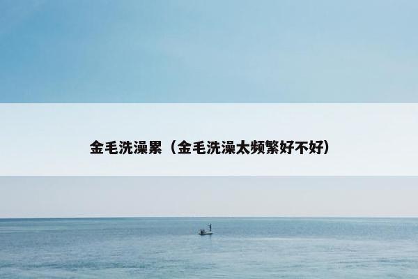 金毛洗澡累（金毛洗澡太频繁好不好）