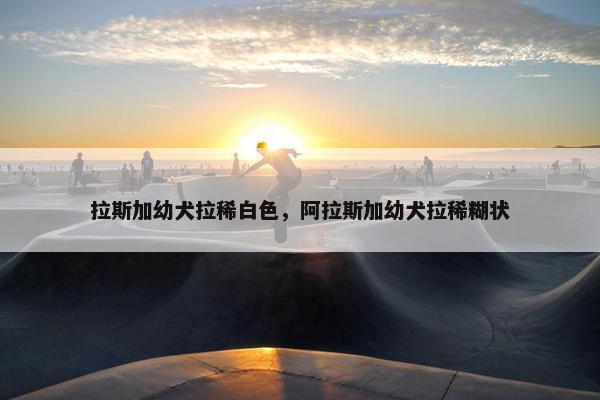 拉斯加幼犬拉稀白色，阿拉斯加幼犬拉稀糊状