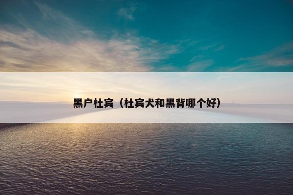 黑户杜宾（杜宾犬和黑背哪个好）