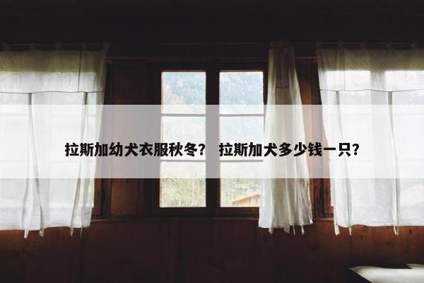 拉斯加幼犬衣服秋冬？ 拉斯加犬多少钱一只？