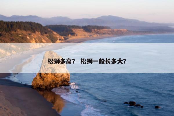 松狮多高？ 松狮一般长多大？