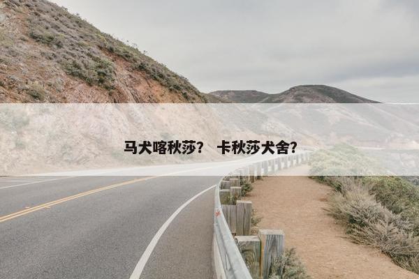 马犬喀秋莎？ 卡秋莎犬舍？