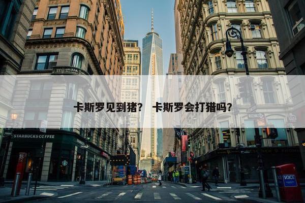卡斯罗见到猪？ 卡斯罗会打猎吗？