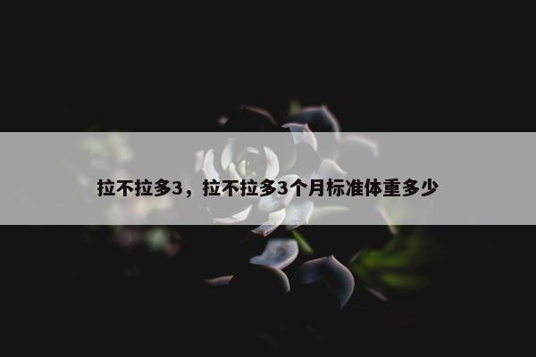 拉不拉多3，拉不拉多3个月标准体重多少