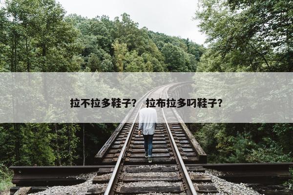 拉不拉多鞋子？ 拉布拉多叼鞋子？