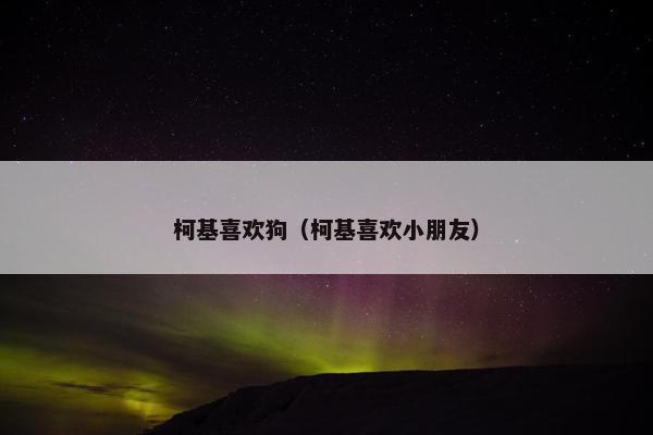 柯基喜欢狗（柯基喜欢小朋友）