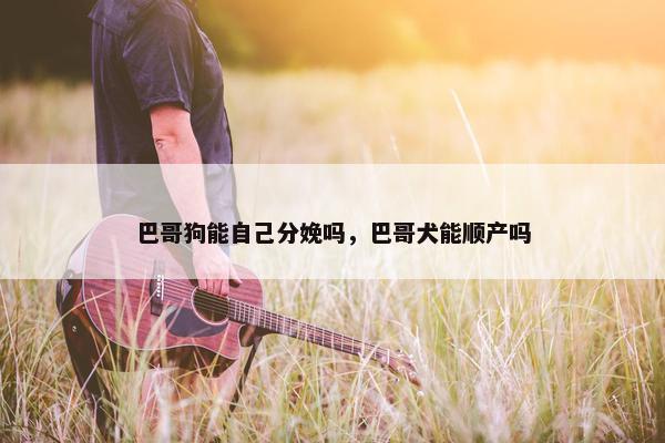 巴哥狗能自己分娩吗，巴哥犬能顺产吗