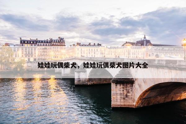 娃娃玩偶柴犬，娃娃玩偶柴犬图片大全