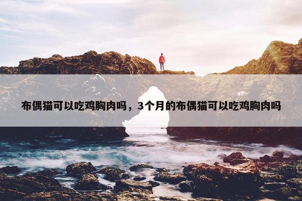 布偶猫可以吃鸡胸肉吗，3个月的布偶猫可以吃鸡胸肉吗