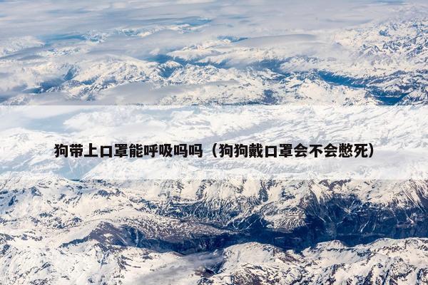 狗带上口罩能呼吸吗吗（狗狗戴口罩会不会憋死）