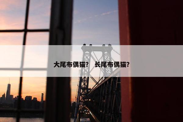 大尾布偶猫？ 长尾布偶猫？
