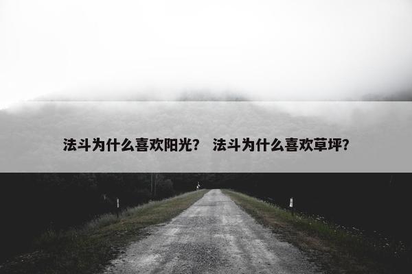 法斗为什么喜欢阳光？ 法斗为什么喜欢草坪？
