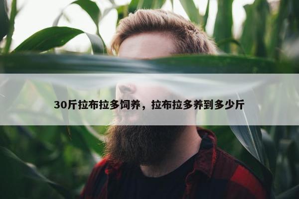 30斤拉布拉多饲养，拉布拉多养到多少斤