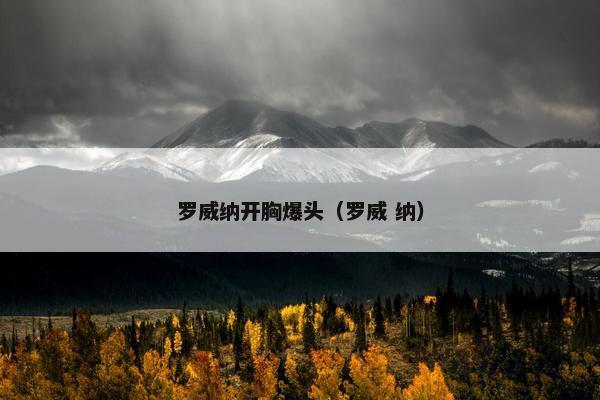 罗威纳开胸爆头（罗威 纳）