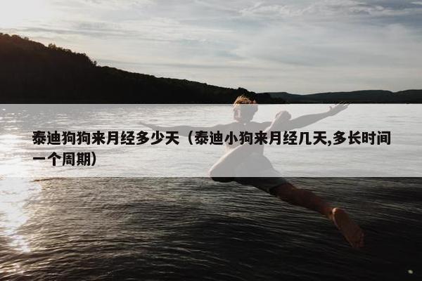 泰迪狗狗来月经多少天（泰迪小狗来月经几天,多长时间一个周期）