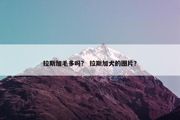 拉斯加毛多吗？ 拉斯加犬的图片？