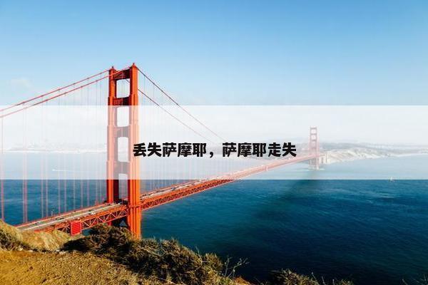 丢失萨摩耶，萨摩耶走失
