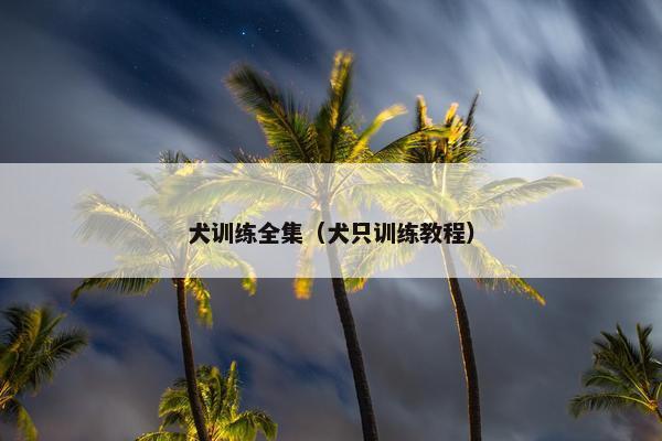 犬训练全集（犬只训练教程）