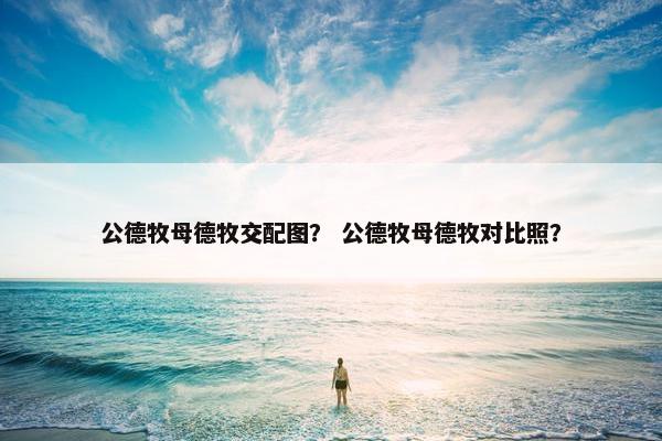公德牧母德牧交配图？ 公德牧母德牧对比照？