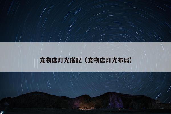 宠物店灯光搭配（宠物店灯光布局）