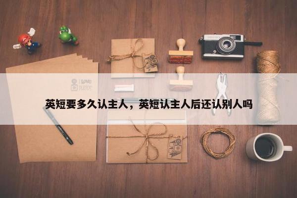 英短要多久认主人，英短认主人后还认别人吗