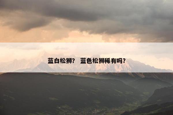 蓝白松狮？ 蓝色松狮稀有吗？