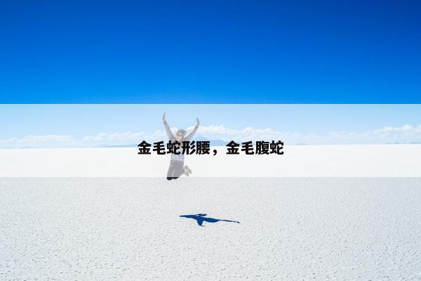 金毛蛇形腰，金毛腹蛇