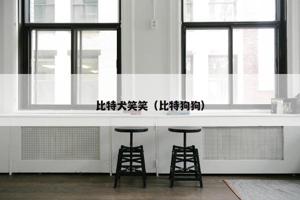 比特犬笑笑（比特狗狗）